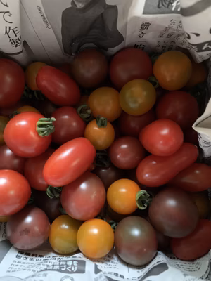 みんなの投稿の画像