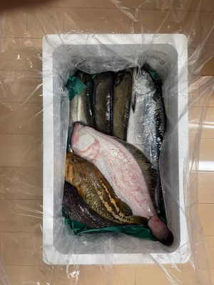 みんなの投稿の画像