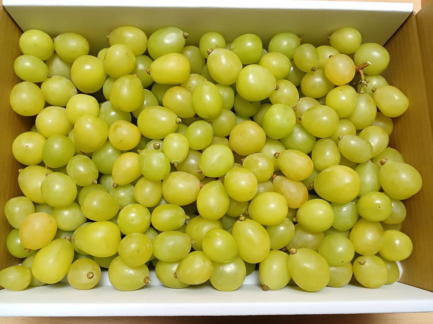 シャインマスカット粒限定特売品になります。 大粒シャインマスカットタルト 4号 12cm shine-muscat-tart-4