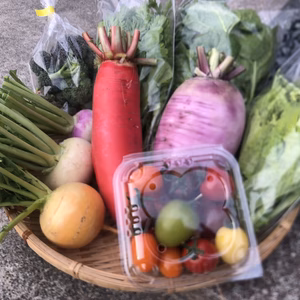 第1段♡カラフル野菜セット　プレゼント付き
