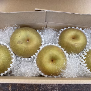 《訳あり》限定！甘い幸水梨　2キロ前後　『味は一級品』