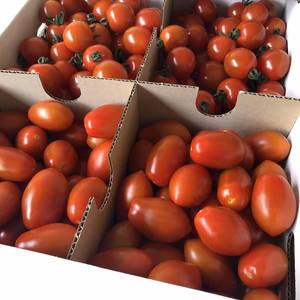 ‼️食べ比べ‼️【甘い縁】【濃厚な結】贅沢な味わいをご堪能ください。