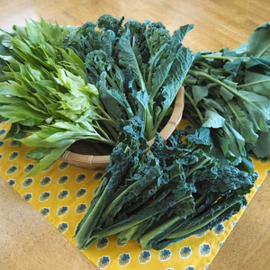 【予約：割増中！】春の訪れ！ここでしか食べられない　ミニ野菜セット