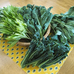 【栄養士考案レシピ付き】野菜ソムリエが厳選した　今が旬の珍しい野菜セット