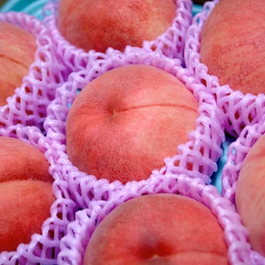 南信州『あかつき』桃の王道品種✨果汁たっぷり朝採りの桃贈答品