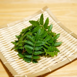 【食の世界遺産】木の芽10g 有馬の葉山椒 山椒の葉 有馬温泉の麓よりお届け