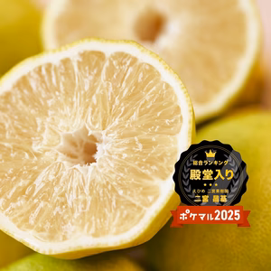 殿堂入りセール　種なしレモン　約40%オフ　記念特価　赤字の価格　　
