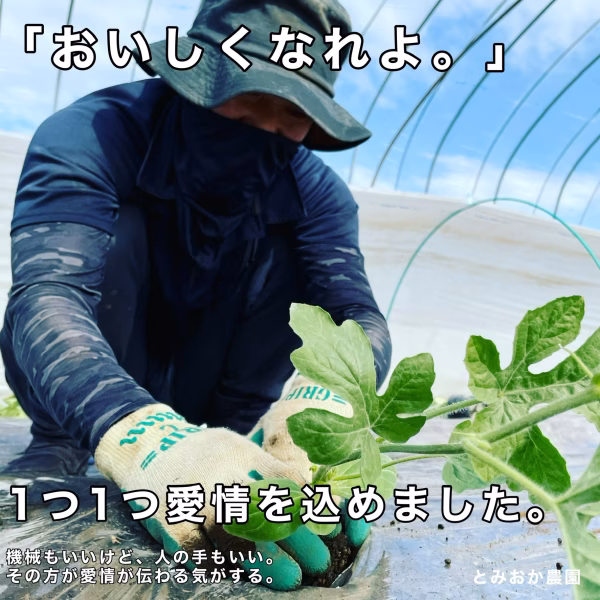 とみおか農園 ~すいかとメロン~