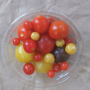 ミニトマトの宝石箱！ 農薬 化学肥料不使用