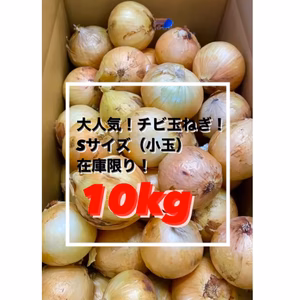 即日発送✨丸ごとスープに❗️淡路島チビ玉ねぎ❗️（Sサイズ）