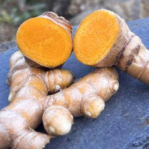 生秋ウコン　ターメリック　800g