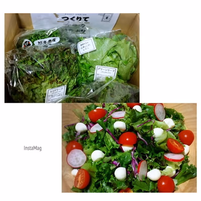 みんなの投稿の画像