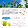 【送料無料・おまとめ割中】一番茶のみ使用！水出し専用深蒸し茶 