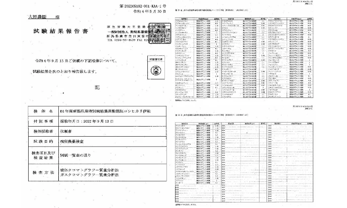 新米令和4年新潟産 8年連続残留農薬ゼロ コシヒカリ伊助  無洗玄米 5Kg