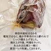 南信州無添加おやつセット 冷凍いちごと冷凍焼き芋を農園からセットでお届け