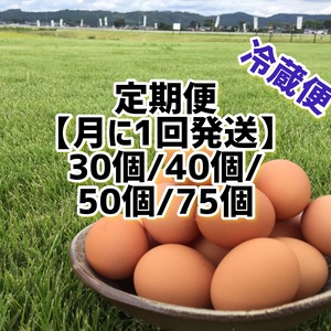 定期便/クール便：納豆菌の仲間『枯草菌』で育てた鶏のたまご