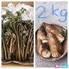 採れ次第発送！ワラビ500g&竹の子2㎏セット