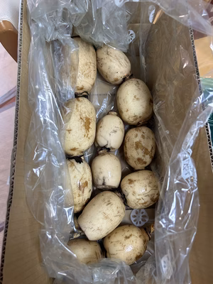 みんなの投稿の画像