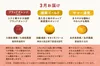 「春から初夏の柑橘巡る定期便」旬の柑橘9品種を食べ比べ