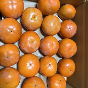 訳あり家庭用　富有柿7.5㎏　（30〜35個入り）