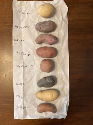 みんなの投稿の画像