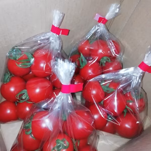 次男農園の濃いミニトマト