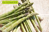【収穫日に発送】新鮮アスパラガス 1kg【栽培期間中農薬・化学肥料不使用】