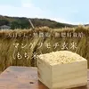 2021年産 マンゲツモチ(もち米) 玄米【無農薬・無肥料・天日干し】