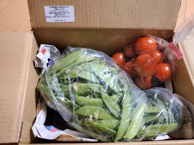 みんなの投稿の画像