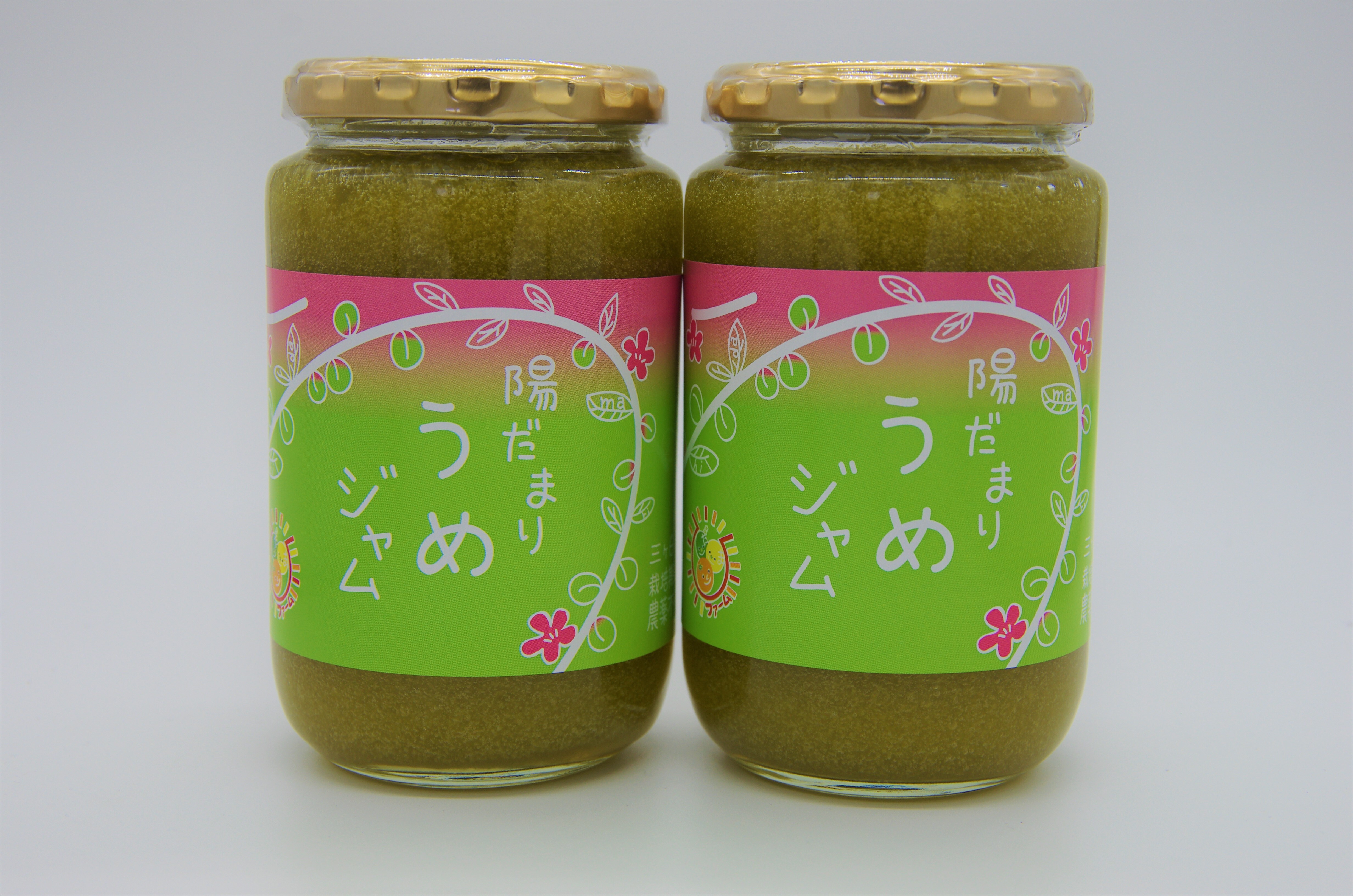青梅の産直通販・お取り寄せ商品|ポケットマルシェ|産地直送で 青梅の産直通販・お取り寄せ商品|ポケットマルシェ|産地直送で