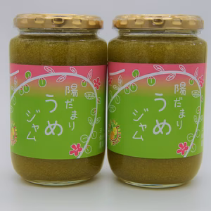２本セット　甘酸っぱい　梅ジャム 380g 栽培期間中農薬不使用 南高梅限定使用