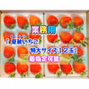 【12玉/着指定可能】青森県下北産　夏秋いちご「すずあかね/赤い妖精」【業務用】