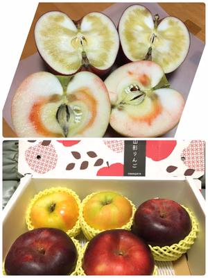 みんなの投稿の画像