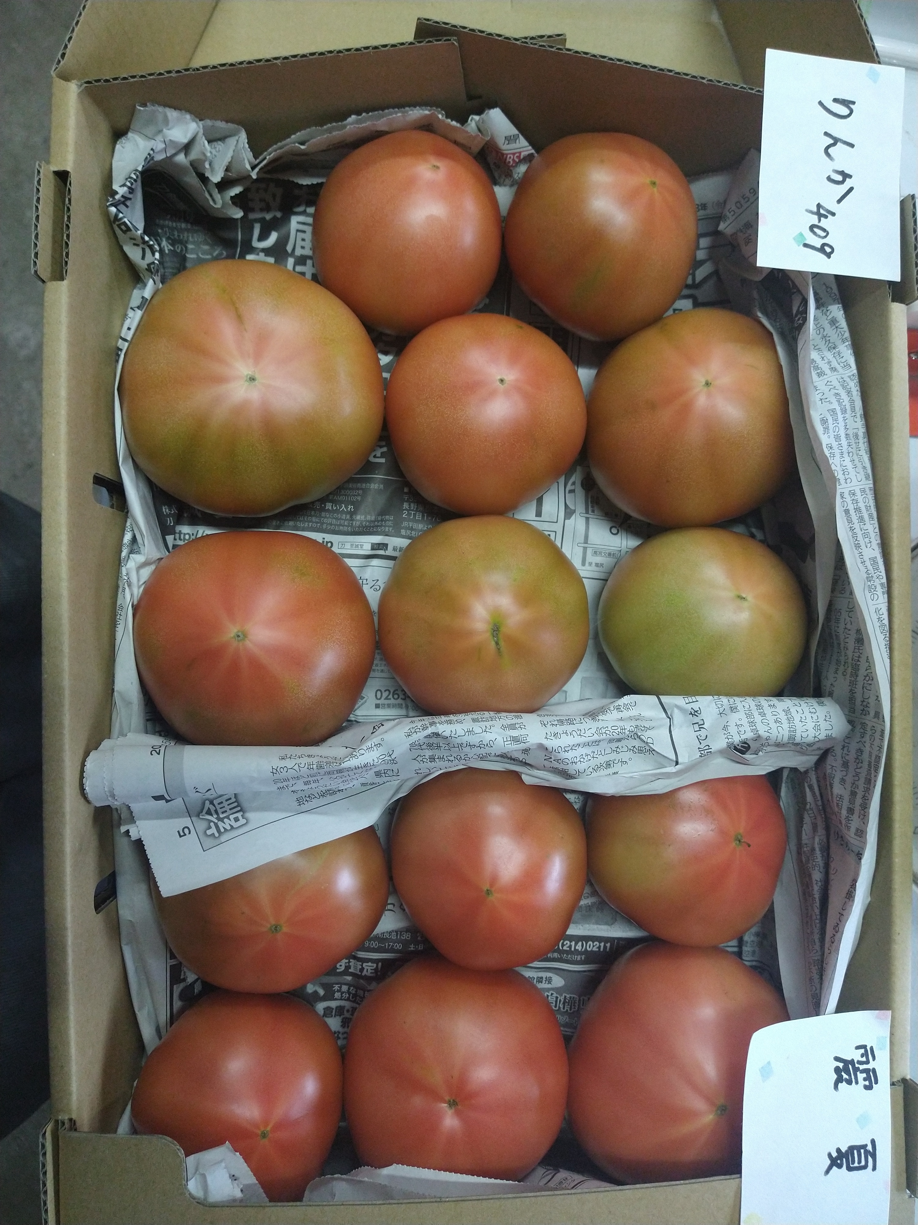 3000x4000 pimpandhost ИМГ $ 長野県駒ヶ根市｜門星ファーム｜山田明美さんの生産者プロフィール｜ポケットマルシェ｜産地直送で旬の食材が生産者(農家・漁師)から届く