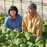 藤本泰美 | ふじもと農園