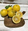 限定品 農薬不使用レモン500gとニューサマーオレンジ2キロセット