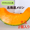 ギフトに大人気 【北海道メロン】 2玉入り　大玉　