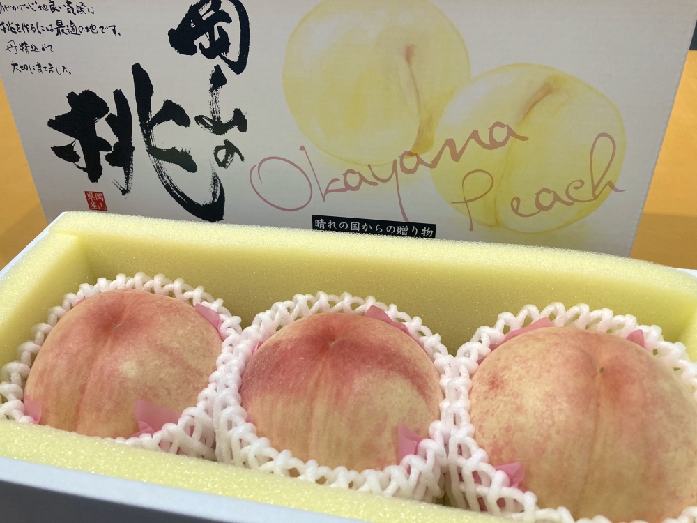 8月直前の3選→岡山白桃の新品種「なつごころ」🍑サンマルツァーノで