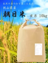 岡山県産　朝日米　玄米10ｋｇ