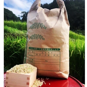 【令和５年産新米(玄米)】愛媛県自家農園　農薬・化学肥料・除草剤不使用あきたまち