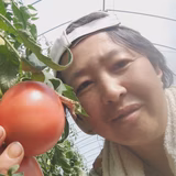 村松克一 | 杉田屋