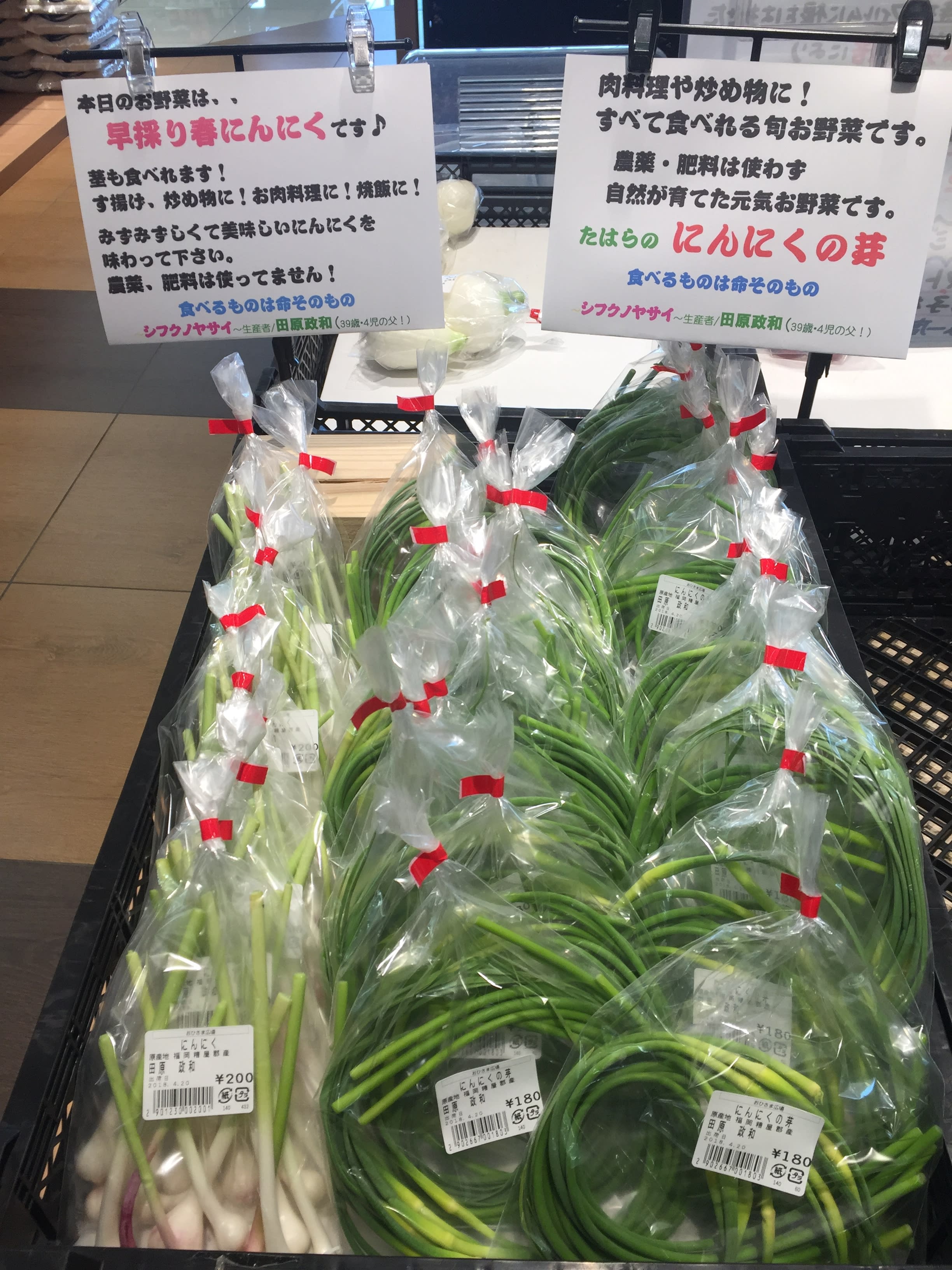福岡県糟屋郡｜シフクのやさい｜田原政和さんの生産者