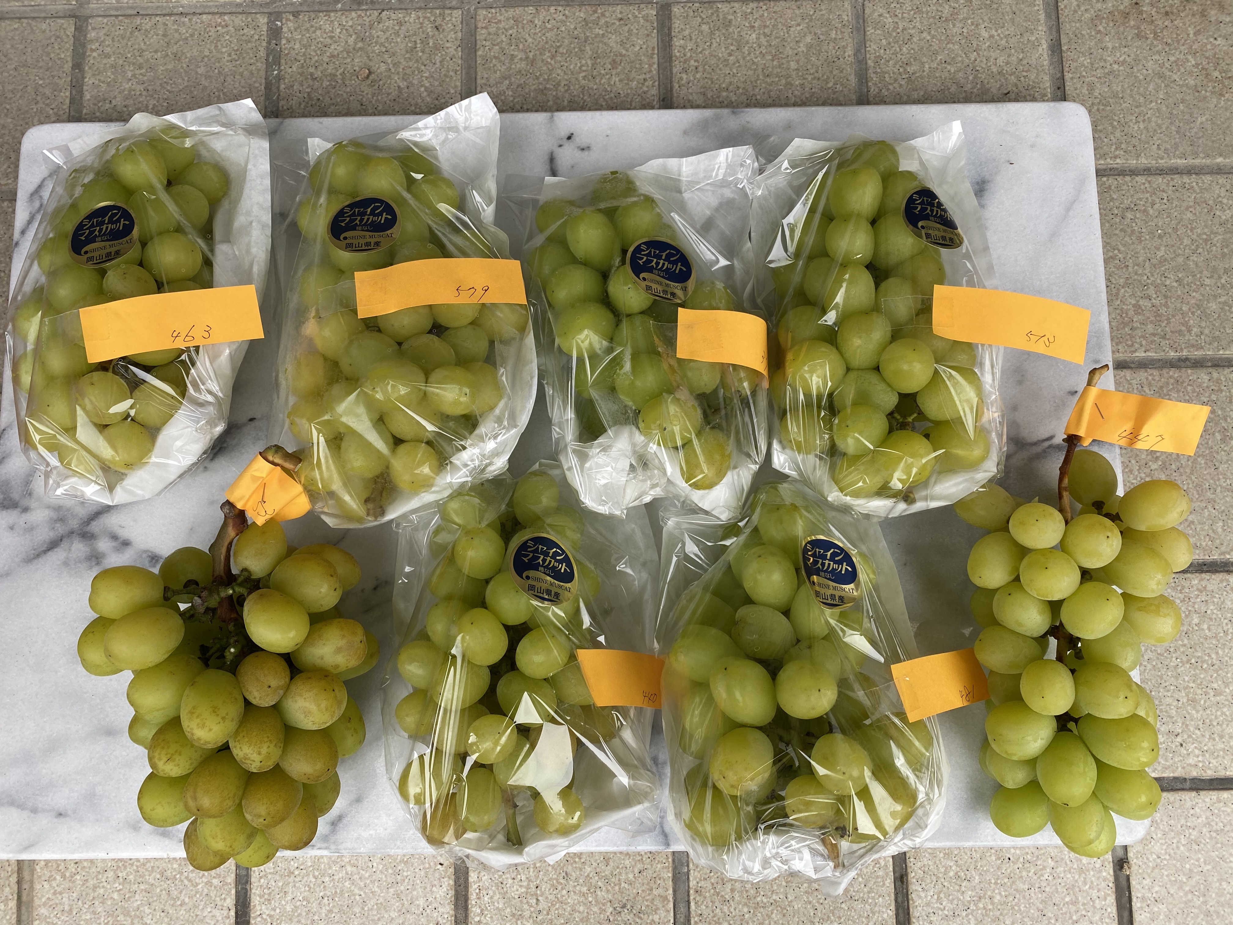 タンポポ農園の小粒なシャインマスカット｜ぶどうの商品詳細｜ポケット