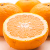 甘夏【わけあり　サンフルーツ　柑橘】※北海道・沖縄配送不可
