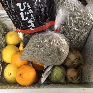 春休みラスト　日替わり5日は柑橘新玉ねぎちりめん　かえりひじきで2300税別