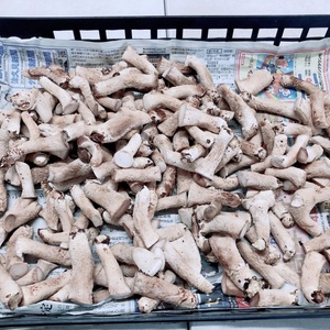 マリネや佃煮、出汁とりに！大型しいたけの軸　1kg　湯布院希少　
