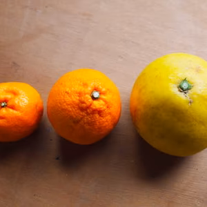 無農薬・無化学肥料の柑橘３種セット
