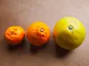 無農薬・無化学肥料の柑橘３種セット