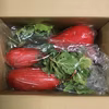 冷蔵で発送凍結防止のため　紅芯大根2袋と赤大根2袋と　金時人参3袋の　根菜セット