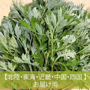 配送地域指定あり③【奈良県産】柔らか春よもぎ／無農薬・化学肥料不使用